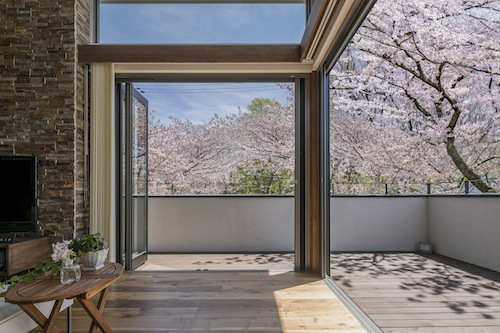 桜を愛でるいえ